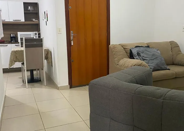 Samambaia Qi 616