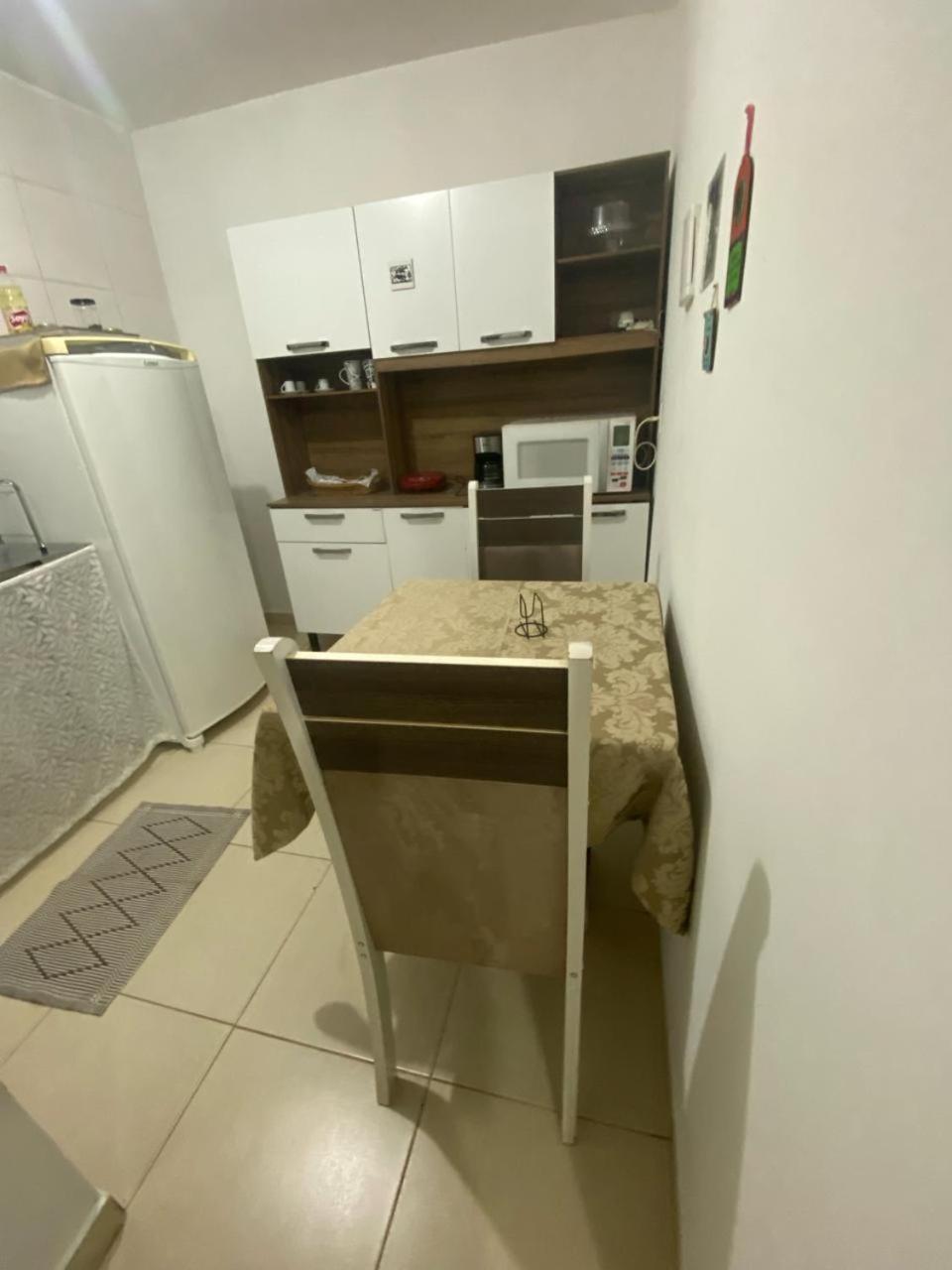 Samambaia Qi 616 *