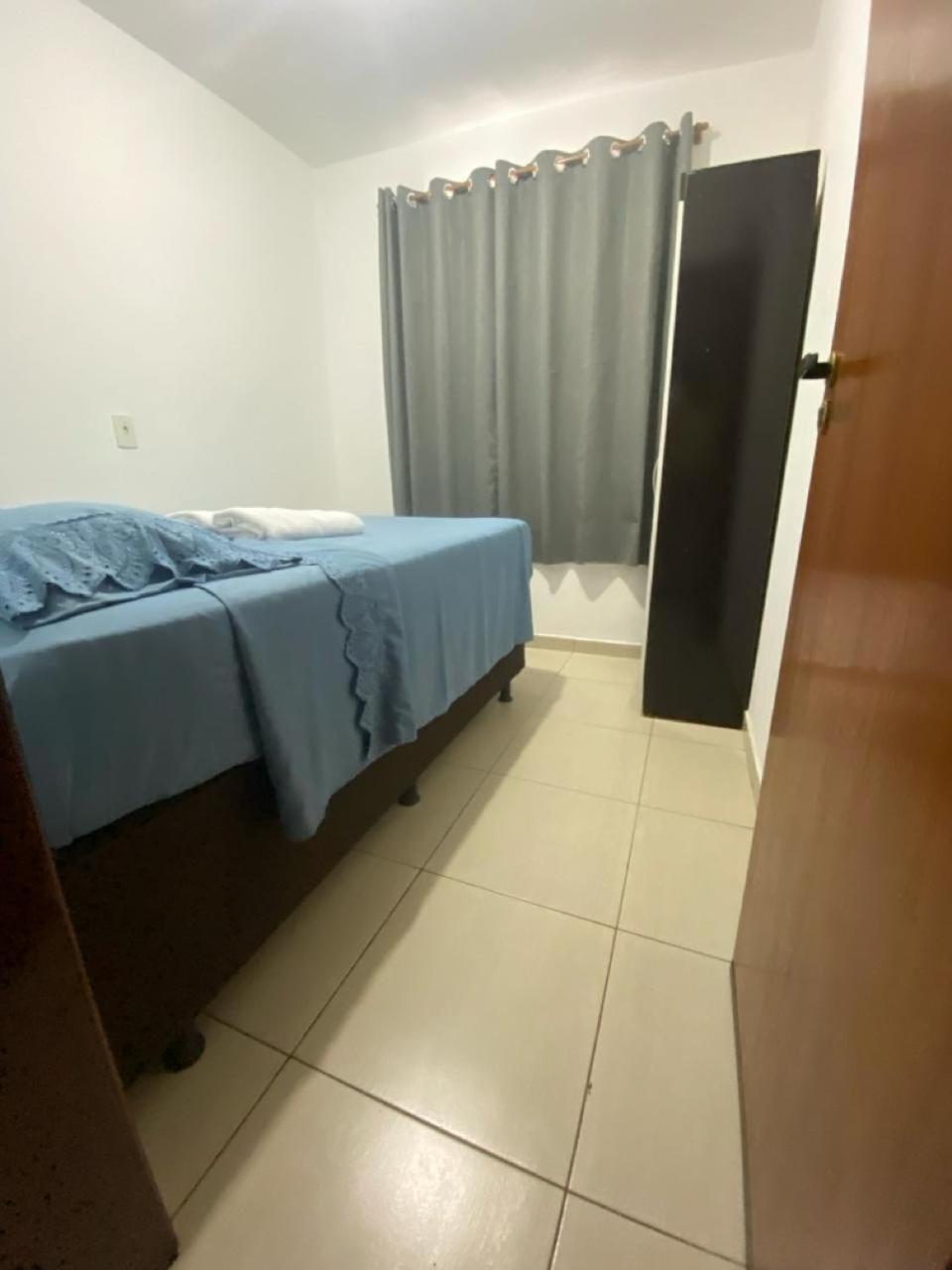 Samambaia Qi 616